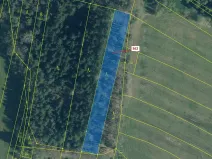 Dražba lesa, Trhové Sviny, 2498 m2