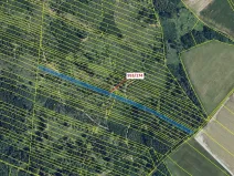 Dražba lesa, Nová Hradečná, 6275 m2