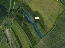 Dražba lesa, Bojkovice, 35849 m2