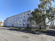 Prodej bytu 2+1, Cheb, Pastýřská, 51 m2