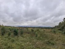 Prodej komerčního pozemku, Chodov, Nejdecká, 3546 m2