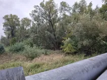 Prodej pozemku, Chodov, Nejdecká, 3546 m2