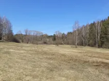 Prodej pozemku, Kaplice - Žďár, 1793 m2