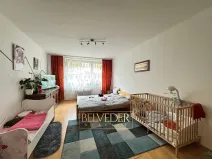 Prodej bytu 3+1, Teplice, Pražská, 68 m2