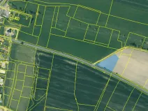 Prodej pole, Druztová, 3000 m2