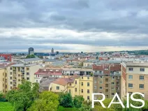 Prodej bytu 1+kk, Brno, Pellicova, 114 m2