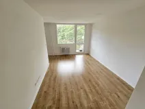 Pronájem bytu 3+1, Most, U Stadionu, 55 m2