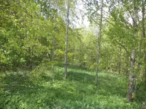 Prodej pozemku, Líšný - Líšný 2.díl, 1958 m2