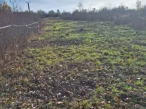 Prodej zahrady, Brno, Podzimní, 928 m2