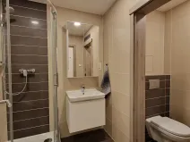 Pronájem bytu 1+kk, Praha - Vršovice, Novgorodská, 30 m2