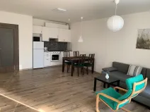 Pronájem bytu 2+kk, Ostrava - Moravská Ostrava, Důlní, 73 m2