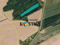 Prodej lesa, Brušperk, Fryčovická, 6710 m2