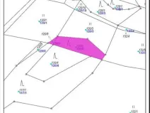 Prodej lesa, Nemile, 323 m2