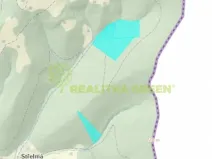 Prodej lesa, Nýdek, 90306 m2