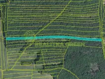 Prodej lesa, Hřivínův Újezd, 11067 m2