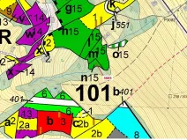 Dražba lesa, Semily, 561 m2