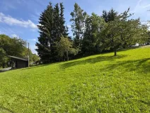 Prodej pozemku, Jestřabí v Krkonoších, 809 m2