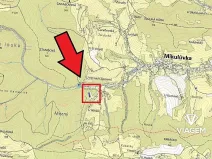 Prodej lesa, Mikulůvka, 3813 m2