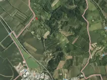 Pronájem zahrady, Hustopeče, 1387 m2