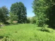 Dražba pozemku pro bydlení, Bělá nad Radbuzou, 1066 m2