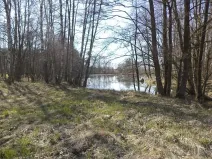 Dražba louky, Dolní Pěna, 4291 m2