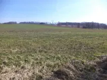 Dražba louky, Dolní Pěna, 4291 m2