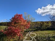 Prodej pozemku, Soběšice - Damíč, 716 m2