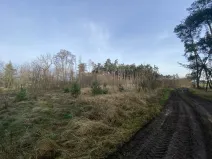 Prodej lesa, Kostelní Lhota, 9438 m2