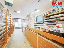 Pronájem obchodního prostoru, Plzeň - Jižní Předměstí, Goethova, 33 m2