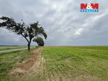 Prodej pole, Slavětín nad Metují, 49591 m2
