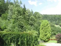 Prodej lesa, Hutisko-Solanec, 2245 m2