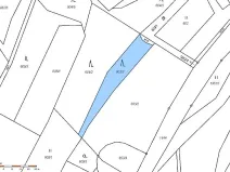 Prodej lesa, Hutisko-Solanec, 2245 m2