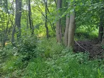 Prodej pozemku, Rožnov pod Radhoštěm, 126 m2