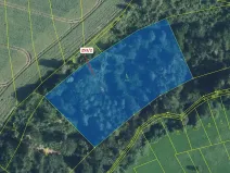 Dražba lesa, Nové Hrady, 7263 m2