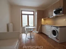 Pronájem bytu 1+kk, Brno, Obilní trh, 20 m2