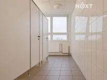 Pronájem kanceláře, České Budějovice, K. Světlé, 35 m2