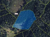 Dražba lesa, Vranová Lhota, 5978 m2
