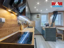 Prodej bytu 3+kk, Karlovy Vary - Rybáře, Borová, 43 m2