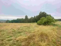 Dražba louky, Nové Sedlo, 49321 m2