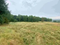 Dražba louky, Nové Sedlo, 49321 m2
