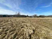 Dražba louky, Aš, 3300 m2