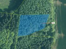 Dražba lesa, Kuřimany, 2850 m2