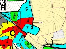 Dražba lesa, Kuřimany, 4499 m2