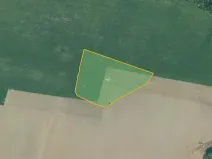 Prodej pole, Bor, 44369 m2