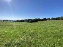 Prodej pole, Křešín, 6536 m2