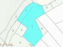 Prodej lesa, Česká Bělá, 8665 m2