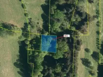 Dražba lesa, Zděchov, 435 m2