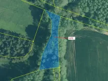 Dražba lesa, Kuřimany, 875 m2