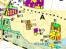 Dražba lesa, Hradiště, 1323 m2