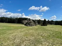 Prodej komerčního pozemku, Černá v Pošumaví, 25271 m2